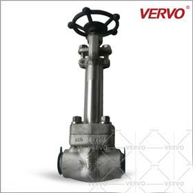 China Solid Gate Cryogenic Gate Valve Forged Steel Gate Valve F304 Gate Valve DN25 PN160 Socket Weld Gate Valve factory