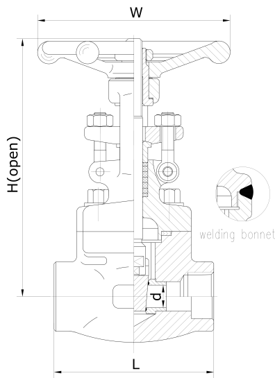 API602 BS6364  Extended Stem Pressure Seal Gate Valve A182 F304L Cryogenic 1 Inch DN25 CL1500 BW 3