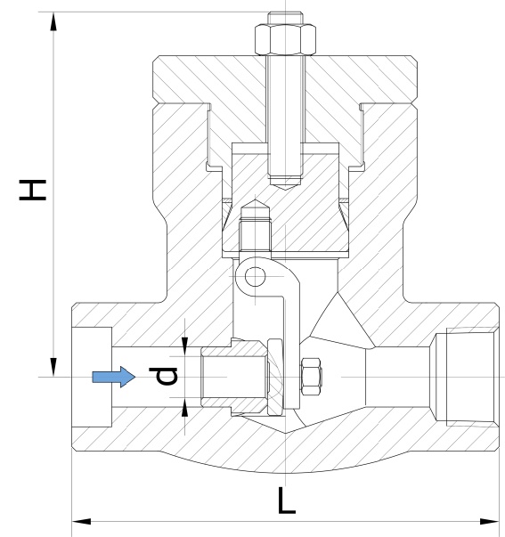 Lift Type Check Valve Carbon Steel Check Valve 1inch Dn25 1500lb RTJ Self Sealing PSC Pressure Seal Check Valve 4