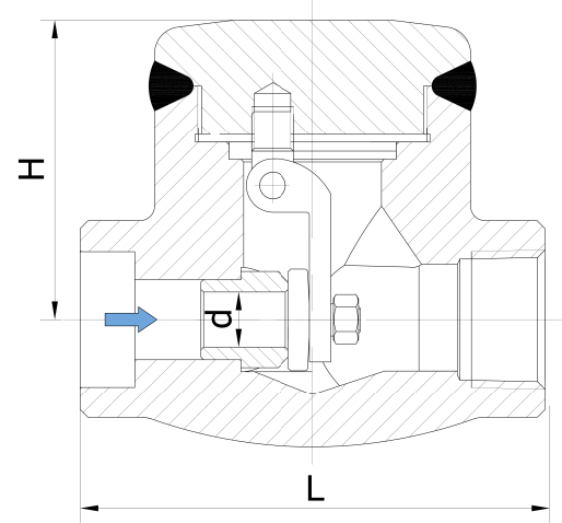 2 Inch ALLOY20 Forged Swing Check Valve Forge DN50 150LB SW Nrv Check Valve UNS N08020 Socket Weld swing Check Valve 9