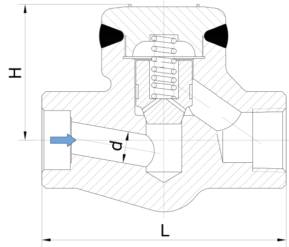 Ball Check Valve Forged Steel Check Valve Carbon Steel A105N 1 1/2" SW Dn40 800lb Lift Type Check Valve Piston Type 7