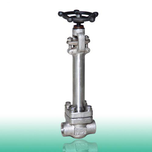 Forged Steel Cryogenic Globe Valve F304L Dn40 150LB Extended Stem 250MM Low Temperature Globe Valve SS Globe Valve 4