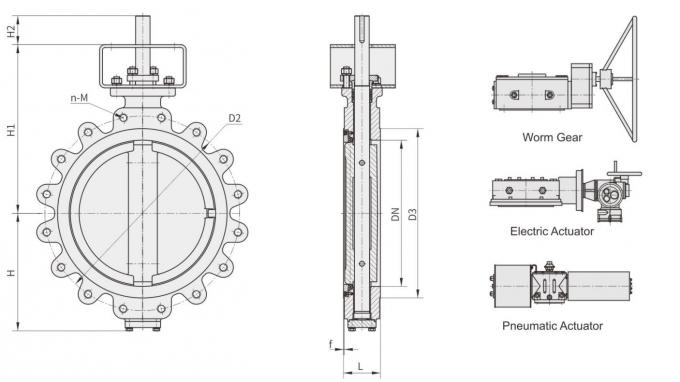 4 Inch Lug Double Eccentric Butterfly Valve 150LB A351 Cf8m 150Lb 100mm PTFE Seat Double Offset Butterfly Valve 8