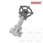 Cryogenic Gate Valve Low Temperature Gate Valve Stainless Steel DN20 800LB Extension Stem Gate Valve Solid Wedge Valve