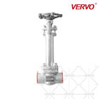 Extension Stem High Pressure Cryogenic Gate Valve Forged Stainless Steel Gate Valve F316 3/4 Inch DN20 800LB Socket Weld