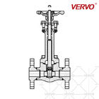 Extension Stem High Pressure Cryogenic Gate Valve Forged Stainless Steel Gate Valve F316L 2 Inch DN50 2500LB Flanged RF