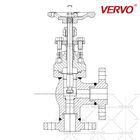 Forged Steel Globe Control Valve Stainless Steel F316 Flanged Angle