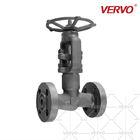 Forged Steel Globe Valve Globe Valve 1 Inch Rising Stem Globe Valve A105n Dn25 1500lb Flanged RTJ 1 Inch Globe Valve PSB