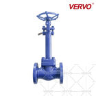 Forged stainless steel cryogenic globe valve 2inch extension stem