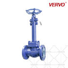 Forged stainless steel cryogenic globe valve 2inch extension stem