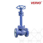 Forged stainless steel cryogenic globe valve 2inch extension stem