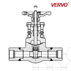 800LB Flanged Gate Valve Long Welded Short Pipe Forged Carbon