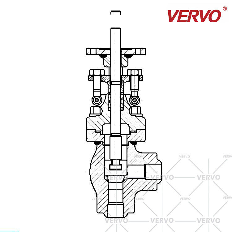 800LB Electric Polished Rod Angle Globe Valve