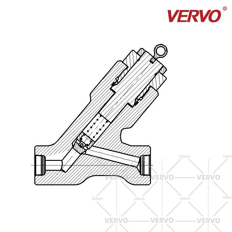 Lift Y Check Valve Stainless Steel F304 Dn15 1