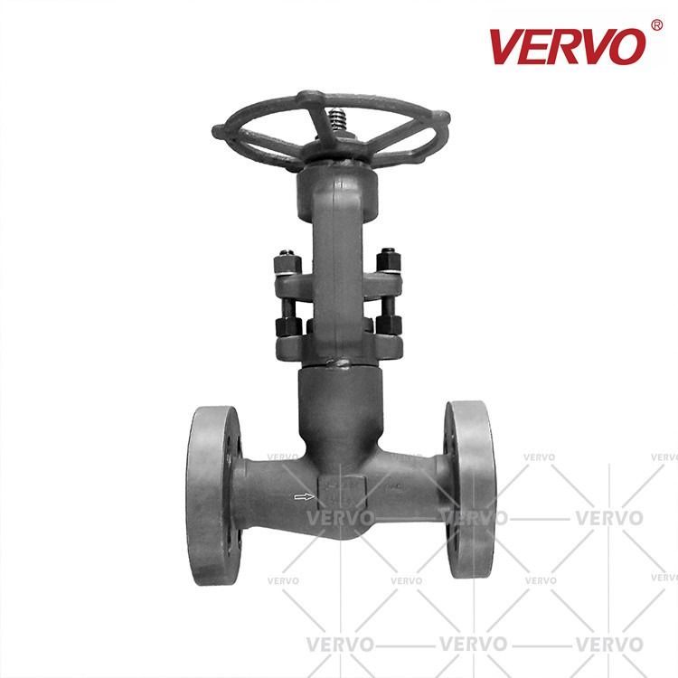 Forged Steel Globe Valve Globe Valve 1 Inch Rising Stem Globe Valve A105n Dn25 1500lb Flanged RTJ 1 Inch Globe Valve PSB