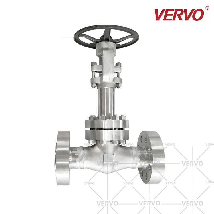 1 Inch DN25 Flanged End Pressure Seal Gate Valve Cryogenic Forged Stainless Steel Extend Stem